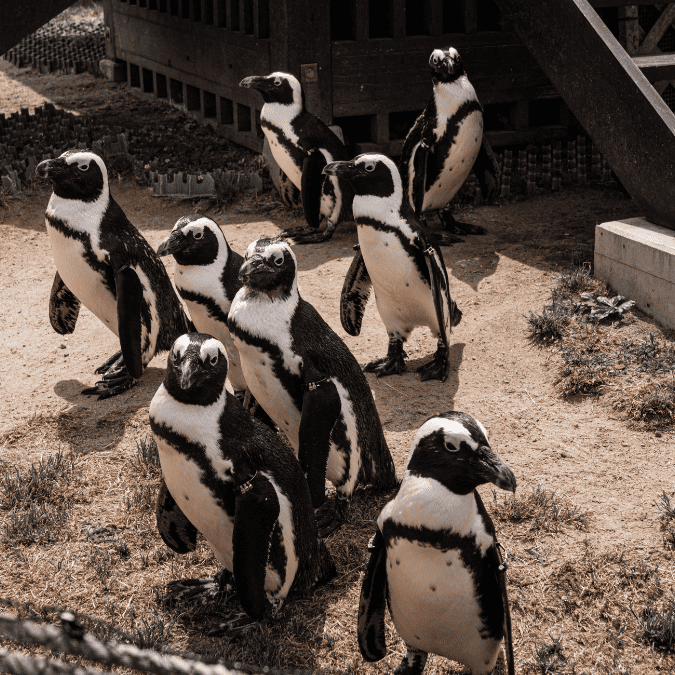 必玩名古屋景點6：名古屋港水族館