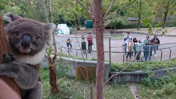 天王寺動物園