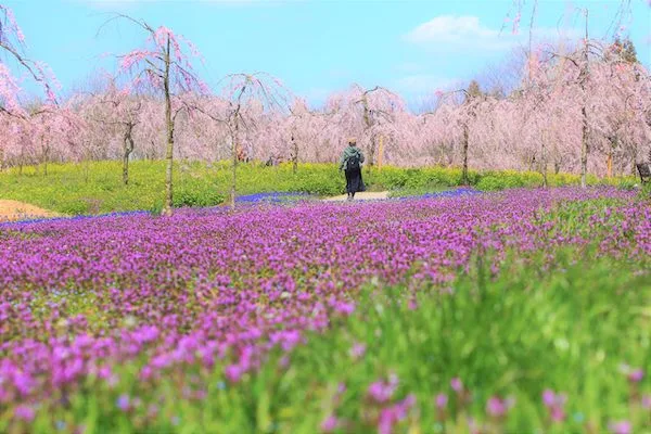 世羅高原農場