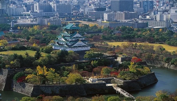 大阪城公園櫻花